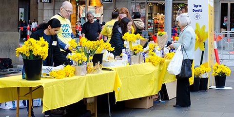 Daffodil Day charity event volunteers selling merchandise to raise funds for cancer research
